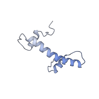 4710_6r25_B_v1-0
Structure of LSD2/NPAC-linker/nucleosome core particle complex: Class 3