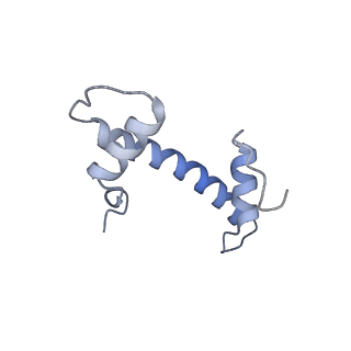 4710_6r25_F_v1-0
Structure of LSD2/NPAC-linker/nucleosome core particle complex: Class 3
