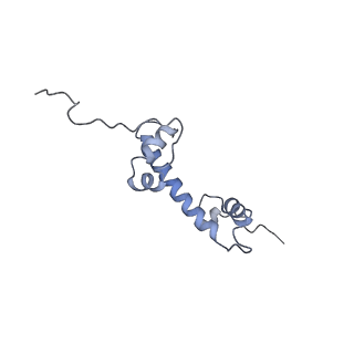 4710_6r25_G_v1-0
Structure of LSD2/NPAC-linker/nucleosome core particle complex: Class 3
