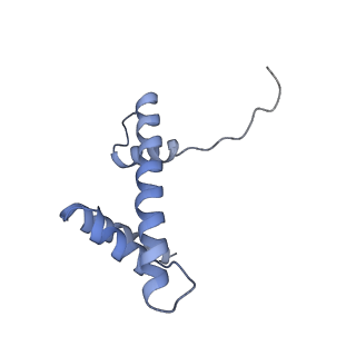 4710_6r25_H_v1-0
Structure of LSD2/NPAC-linker/nucleosome core particle complex: Class 3
