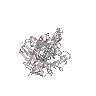 4710_6r25_K_v1-0
Structure of LSD2/NPAC-linker/nucleosome core particle complex: Class 3