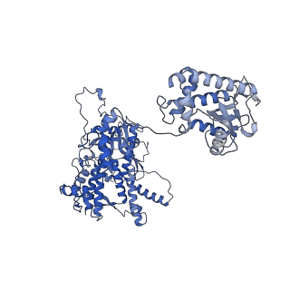 18871_8r3k_A_v1-0
Influenza A/H7N9 polymerase in self-stalled pre-termination state, with Pol II pS5 CTD peptide mimic bound in site 1A/2A.