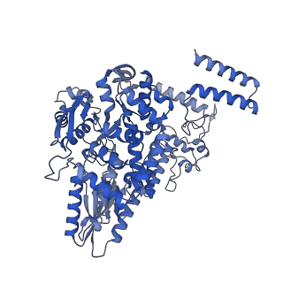 18871_8r3k_B_v1-0
Influenza A/H7N9 polymerase in self-stalled pre-termination state, with Pol II pS5 CTD peptide mimic bound in site 1A/2A.
