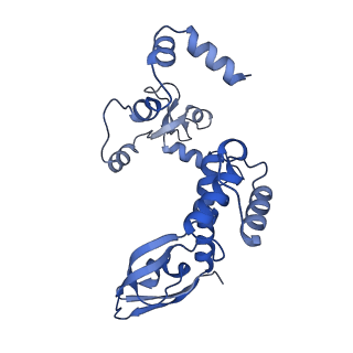 18871_8r3k_C_v1-0
Influenza A/H7N9 polymerase in self-stalled pre-termination state, with Pol II pS5 CTD peptide mimic bound in site 1A/2A.