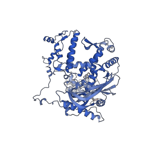 18872_8r3l_A_v1-0
Influenza A/H7N9 polymerase in pre-initiation state, intermediate conformation (I) with PB2-C(I), ENDO(T), and Pol II pS5 CTD peptide mimic bound in site 1A/2A