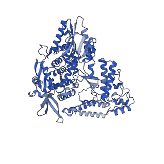 18872_8r3l_B_v1-0
Influenza A/H7N9 polymerase in pre-initiation state, intermediate conformation (I) with PB2-C(I), ENDO(T), and Pol II pS5 CTD peptide mimic bound in site 1A/2A