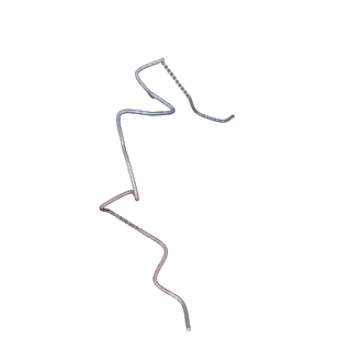 18872_8r3l_G_v1-0
Influenza A/H7N9 polymerase in pre-initiation state, intermediate conformation (I) with PB2-C(I), ENDO(T), and Pol II pS5 CTD peptide mimic bound in site 1A/2A