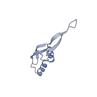 18875_8r3v_12_v1-0
Escherichia coli paused disome complex (non-rotated disome interface)