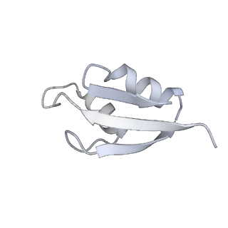 18875_8r3v_32_v1-0
Escherichia coli paused disome complex (non-rotated disome interface)