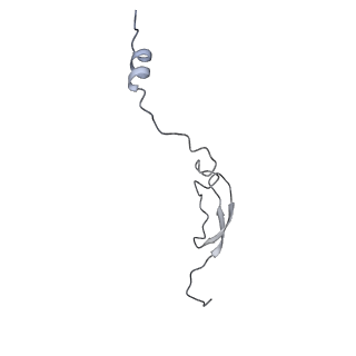 18875_8r3v_4_v1-0
Escherichia coli paused disome complex (non-rotated disome interface)