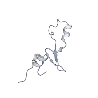 18875_8r3v_62_v1-0
Escherichia coli paused disome complex (non-rotated disome interface)