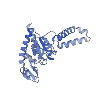 18875_8r3v_B2_v1-0
Escherichia coli paused disome complex (non-rotated disome interface)