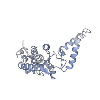 18875_8r3v_B_v1-0
Escherichia coli paused disome complex (non-rotated disome interface)