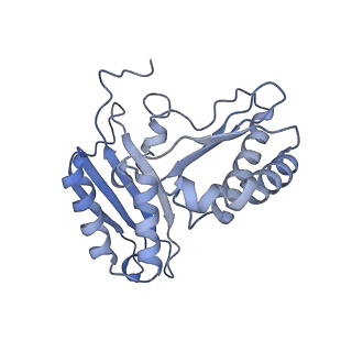 18875_8r3v_C1_v1-0
Escherichia coli paused disome complex (non-rotated disome interface)