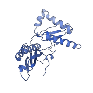 18875_8r3v_C2_v1-0
Escherichia coli paused disome complex (non-rotated disome interface)