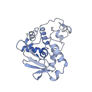 18875_8r3v_D1_v1-0
Escherichia coli paused disome complex (non-rotated disome interface)