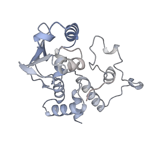 18875_8r3v_D2_v1-0
Escherichia coli paused disome complex (non-rotated disome interface)