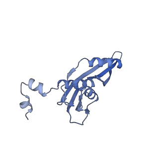 18875_8r3v_E1_v1-0
Escherichia coli paused disome complex (non-rotated disome interface)