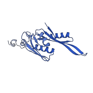 18875_8r3v_E2_v1-0
Escherichia coli paused disome complex (non-rotated disome interface)