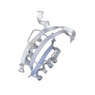 18875_8r3v_F1_v1-0
Escherichia coli paused disome complex (non-rotated disome interface)