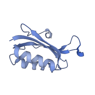 18875_8r3v_F2_v1-0
Escherichia coli paused disome complex (non-rotated disome interface)