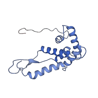 18875_8r3v_G2_v1-0
Escherichia coli paused disome complex (non-rotated disome interface)