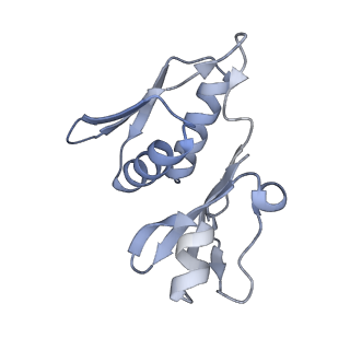 18875_8r3v_H1_v1-0
Escherichia coli paused disome complex (non-rotated disome interface)