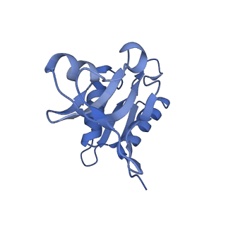 18875_8r3v_H2_v1-0
Escherichia coli paused disome complex (non-rotated disome interface)