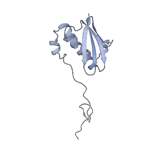 18875_8r3v_I1_v1-0
Escherichia coli paused disome complex (non-rotated disome interface)