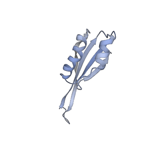 18875_8r3v_J1_v1-0
Escherichia coli paused disome complex (non-rotated disome interface)