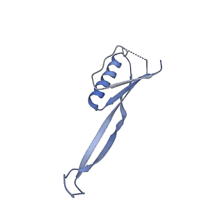 18875_8r3v_J2_v1-0
Escherichia coli paused disome complex (non-rotated disome interface)