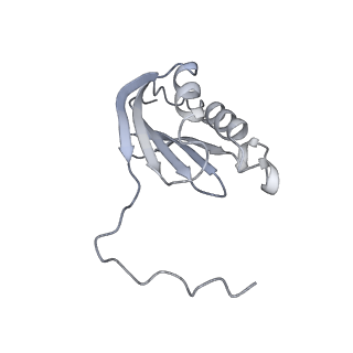 18875_8r3v_K1_v1-0
Escherichia coli paused disome complex (non-rotated disome interface)