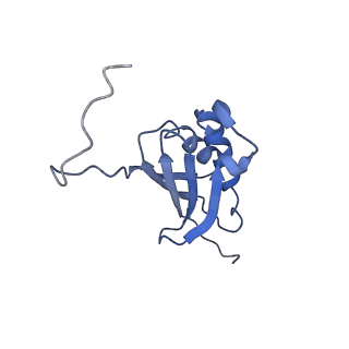 18875_8r3v_K2_v1-0
Escherichia coli paused disome complex (non-rotated disome interface)