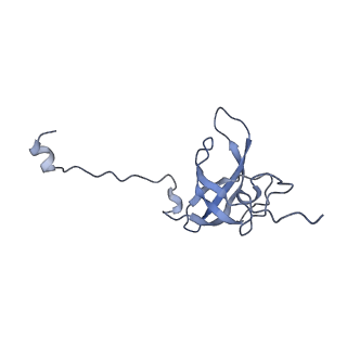 18875_8r3v_L1_v1-0
Escherichia coli paused disome complex (non-rotated disome interface)