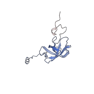 18875_8r3v_L2_v1-0
Escherichia coli paused disome complex (non-rotated disome interface)