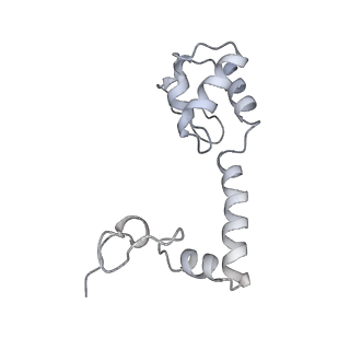 18875_8r3v_M1_v1-0
Escherichia coli paused disome complex (non-rotated disome interface)