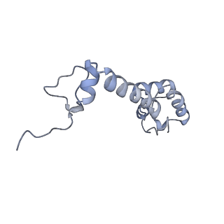 18875_8r3v_M2_v1-0
Escherichia coli paused disome complex (non-rotated disome interface)