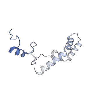 18875_8r3v_N1_v1-0
Escherichia coli paused disome complex (non-rotated disome interface)