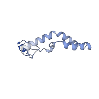18875_8r3v_N2_v1-0
Escherichia coli paused disome complex (non-rotated disome interface)