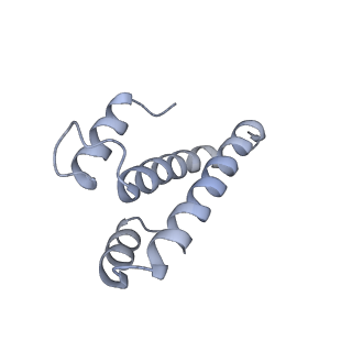 18875_8r3v_O1_v1-0
Escherichia coli paused disome complex (non-rotated disome interface)