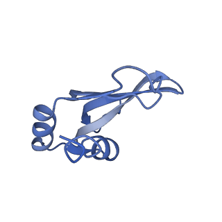 18875_8r3v_P1_v1-0
Escherichia coli paused disome complex (non-rotated disome interface)