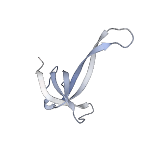 18875_8r3v_Q1_v1-0
Escherichia coli paused disome complex (non-rotated disome interface)