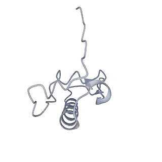 18875_8r3v_R1_v1-0
Escherichia coli paused disome complex (non-rotated disome interface)