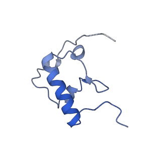 18875_8r3v_R2_v1-0
Escherichia coli paused disome complex (non-rotated disome interface)