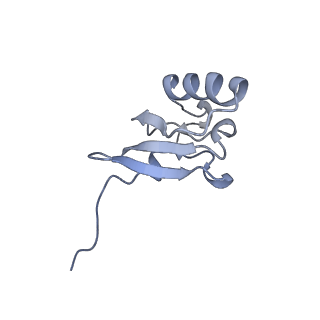 18875_8r3v_S2_v1-0
Escherichia coli paused disome complex (non-rotated disome interface)