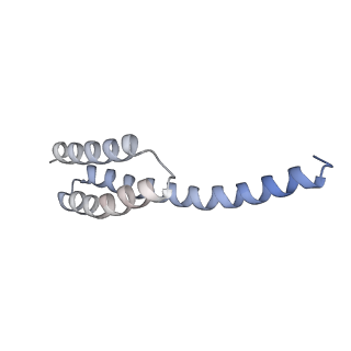 18875_8r3v_T1_v1-0
Escherichia coli paused disome complex (non-rotated disome interface)