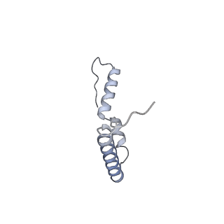 18875_8r3v_U1_v1-0
Escherichia coli paused disome complex (non-rotated disome interface)