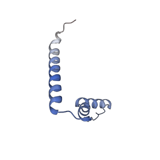 18875_8r3v_U2_v1-0
Escherichia coli paused disome complex (non-rotated disome interface)