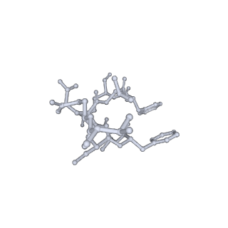 18875_8r3v_Z1_v1-0
Escherichia coli paused disome complex (non-rotated disome interface)