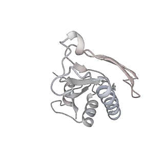 18875_8r3v_a2_v1-0
Escherichia coli paused disome complex (non-rotated disome interface)